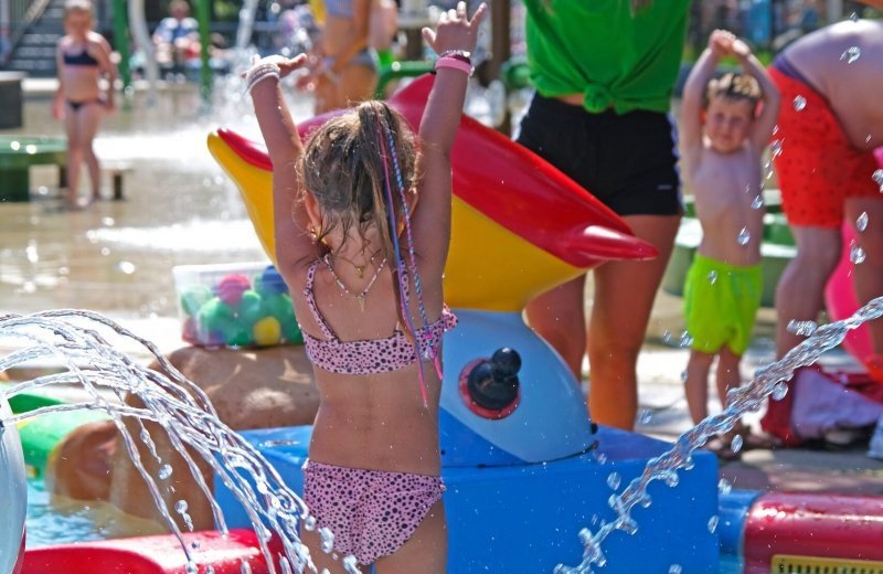 Zomervakantie met kinderen Veluwe